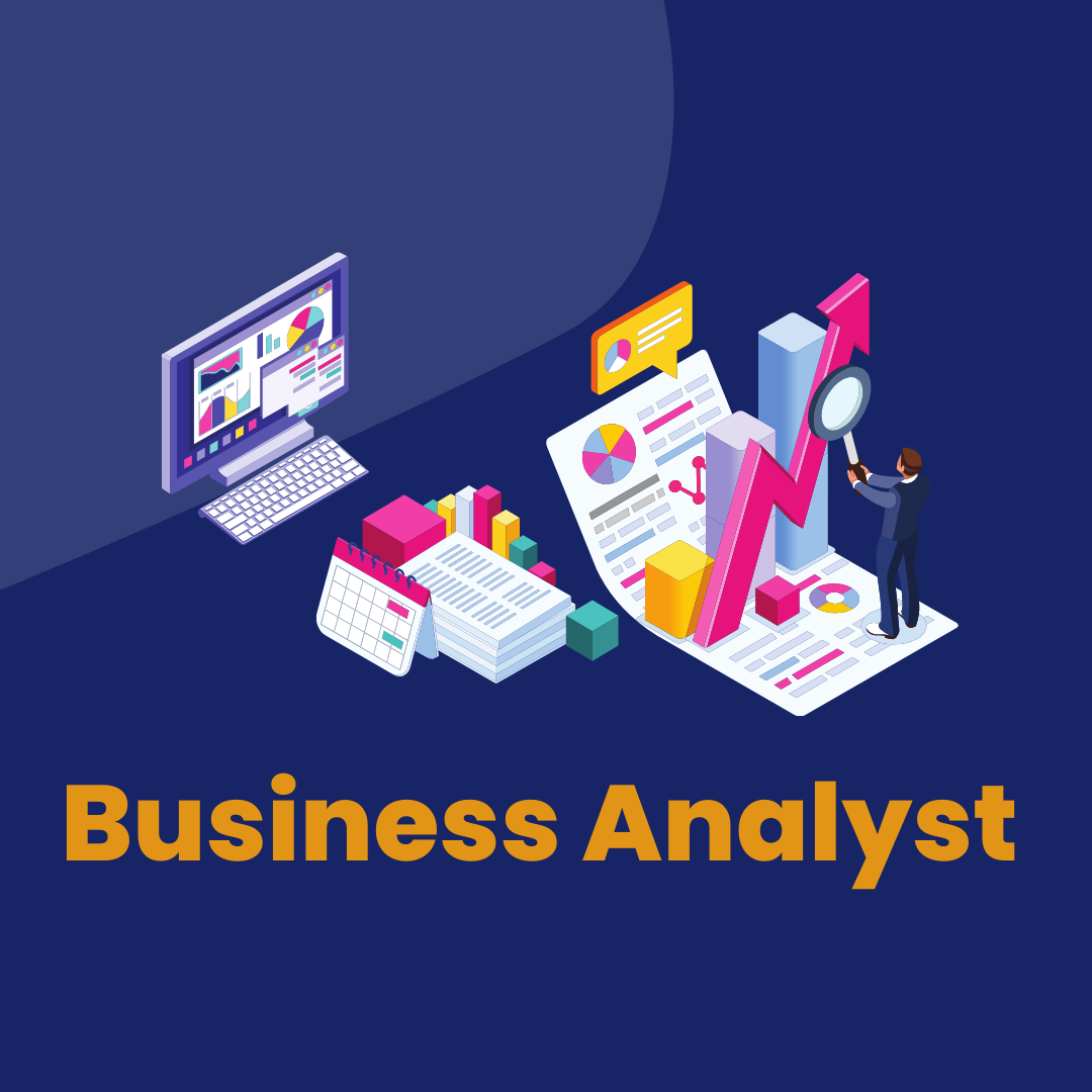 Business Analyst