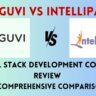 Guvi vs Intellipaat Full Stack Development Course Review